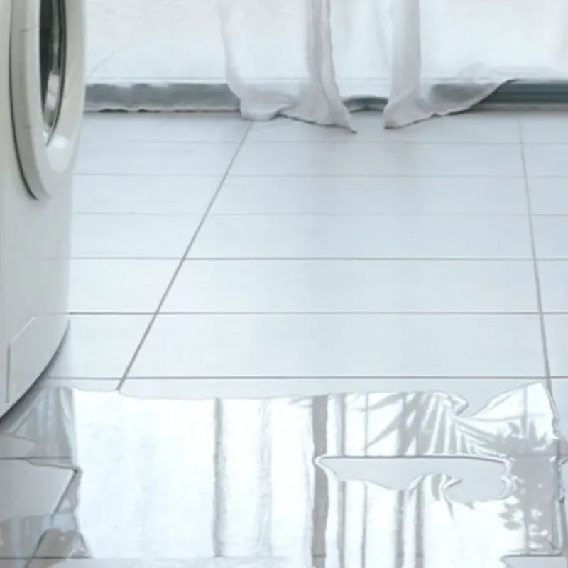 Appliance Leak Cleanup in Lima, PA