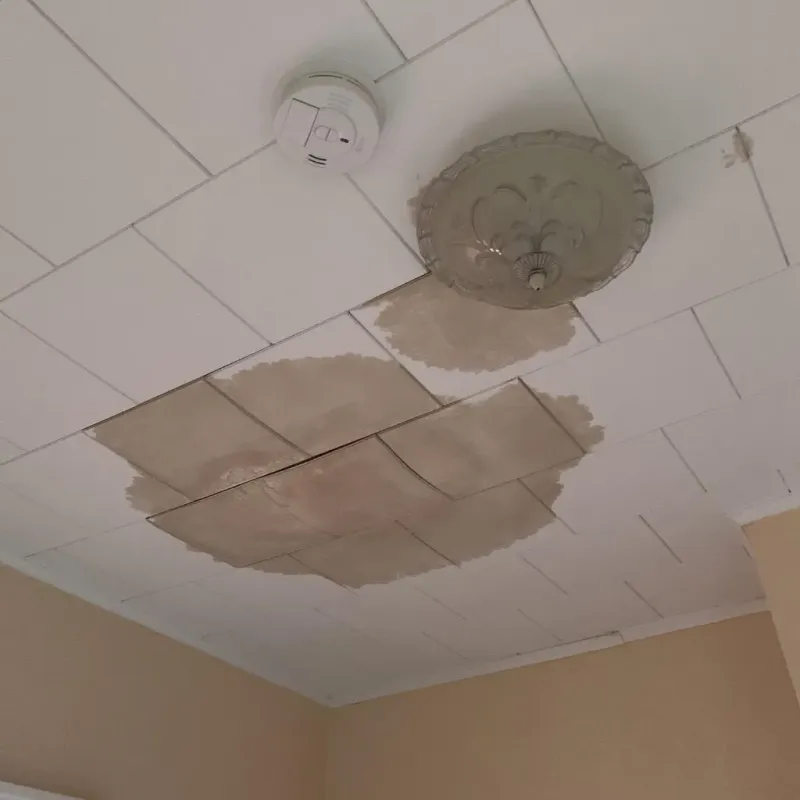 Ceiling Water Damage Repair in Lima, PA